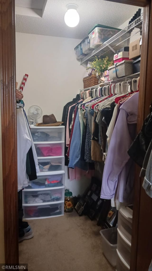 10933 57th St NE, Albertville, MN 55301 - spacious closet with carpet flooring