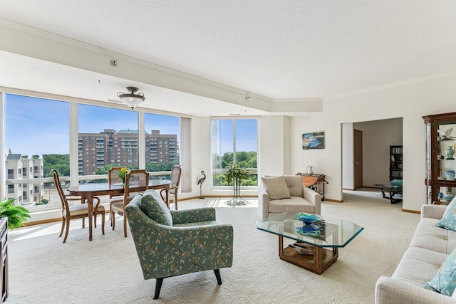6600 Lyndale Ave S Unit 503, Richfield, MN 55423 - living area with crown molding, carpet floors, and a textured ceiling