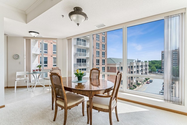 6600 Lyndale Ave S Unit 503, Richfield, MN 55423 - carpeted dining space featuring plenty of natural light and tile patterned flooring