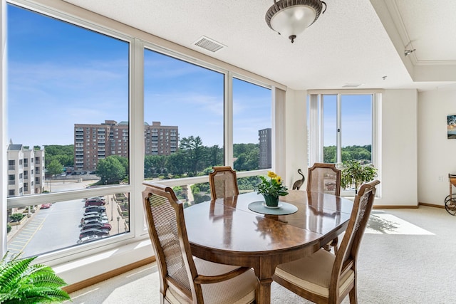 6600 Lyndale Ave S Unit 503, Richfield, MN 55423 - dining room featuring healthy amount of natural light, light colored carpet, a city view, and a textured ceiling