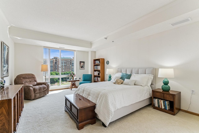 6600 Lyndale Ave S Unit 503, Richfield, MN 55423 - bedroom featuring light carpet, crown molding, and a view of city