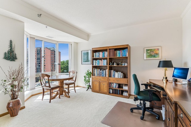 6600 Lyndale Ave S Unit 503, Richfield, MN 55423 - home office with crown molding, carpet floors, and a textured ceiling