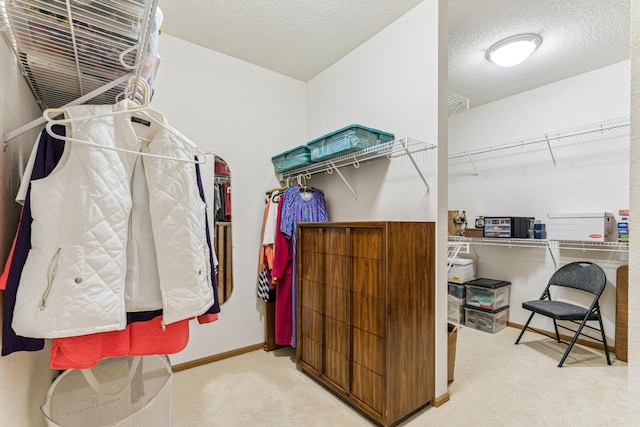 6600 Lyndale Ave S Unit 503, Richfield, MN 55423 - spacious closet with carpet floors