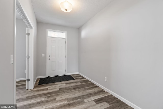 17205 61st St NE, Otsego, MN 55330 - entryway featuring wood finished floors and a textured ceiling