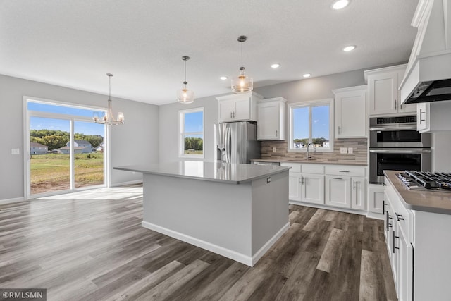 17205 61st St NE, Otsego, MN 55330 - kitchen with premium range hood, appliances with stainless steel finishes, wood finished floors, tasteful backsplash, and a center island