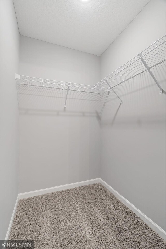 17205 61st St NE, Otsego, MN 55330 - walk in closet with carpet