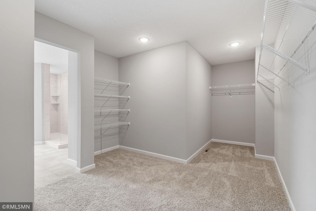 17205 61st St NE, Otsego, MN 55330 - walk in closet with carpet flooring