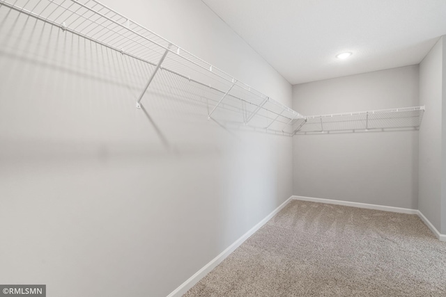 17205 61st St NE, Otsego, MN 55330 - walk in closet with carpet floors