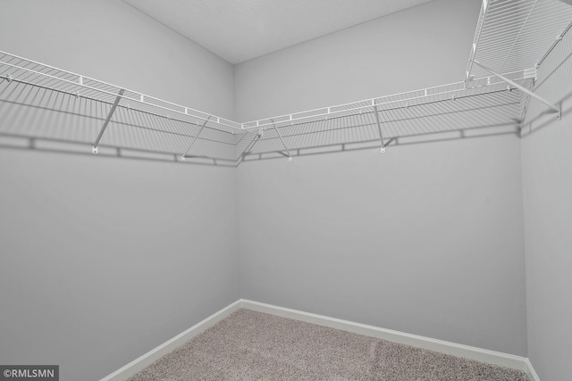 17205 61st St NE, Otsego, MN 55330 - spacious closet featuring carpet flooring