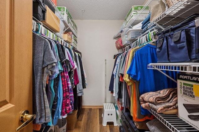 1600 Arundel St Unit 201, Saint Paul, MN 55117 - walk in closet with wood finished floors