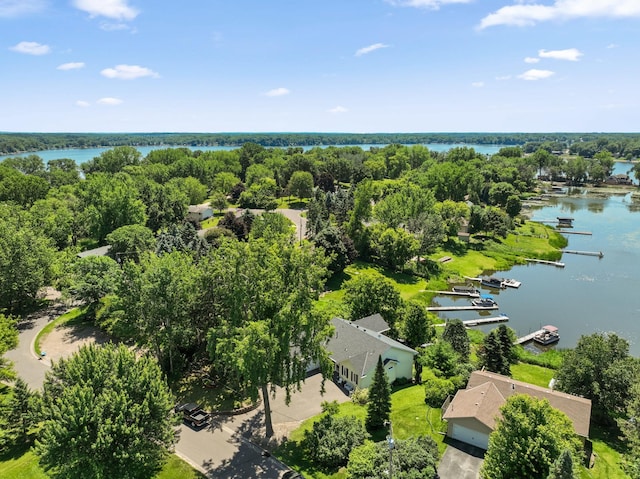 30190 Terryll St, Lindstrom, MN 55045 - bird's eye view of a large body of water and a tree filled landscape