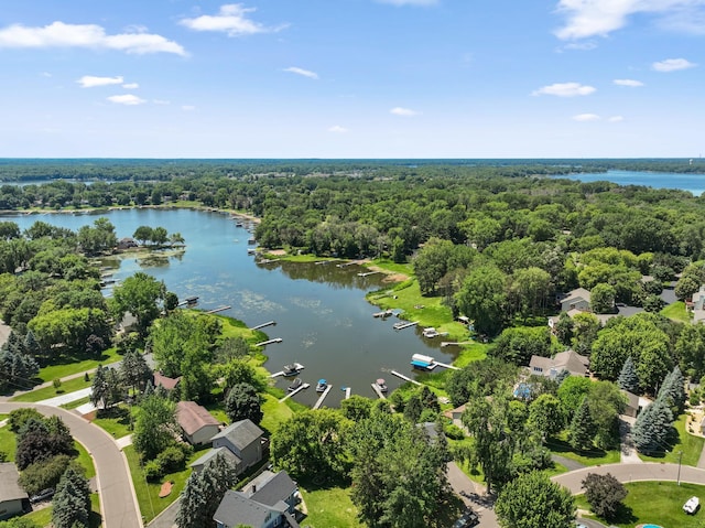 30190 Terryll St, Lindstrom, MN 55045 - bird's eye view of a large body of water