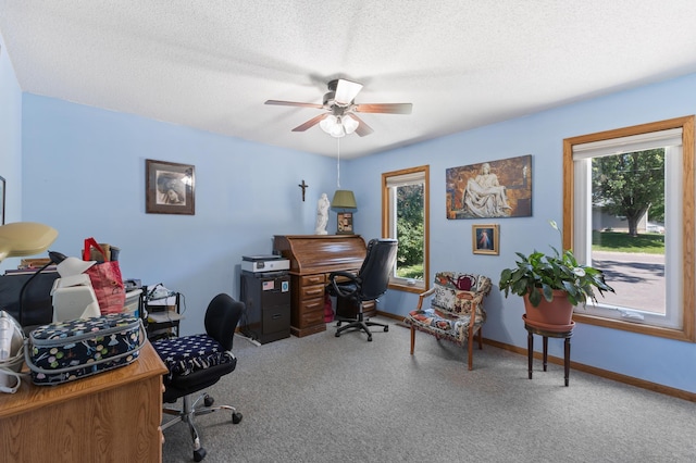 30190 Terryll St, Lindstrom, MN 55045 - home office featuring carpet flooring, ceiling fan, and a textured ceiling