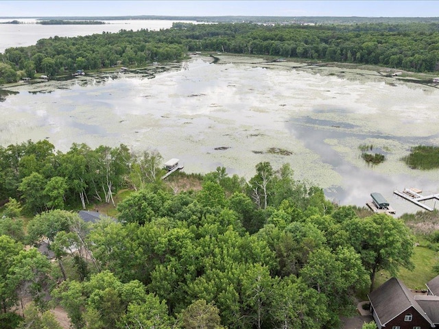 TBD Cree Bay Cir, Pelican Twp, MN 56472