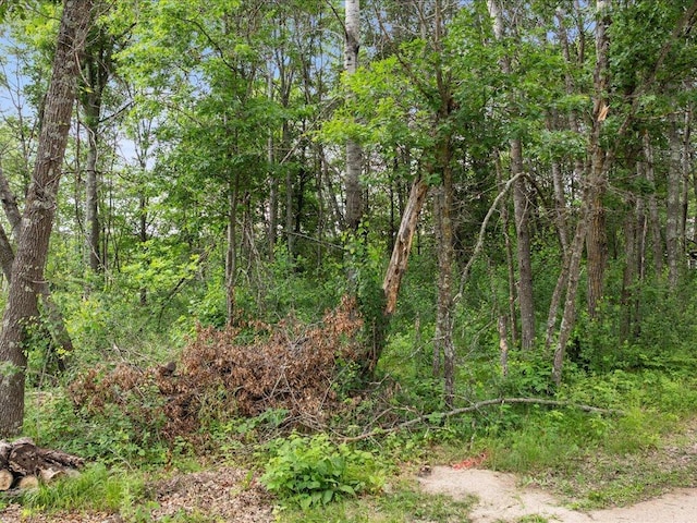 TBD Cree Bay Cir, Pelican Twp, MN 56472