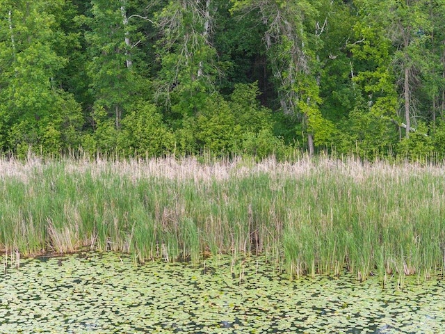 TBD Cree Bay Cir, Pelican Twp, MN 56472