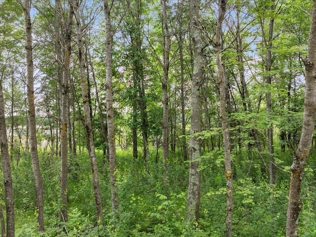 TBD Cree Bay Cir, Pelican Twp, MN 56472
