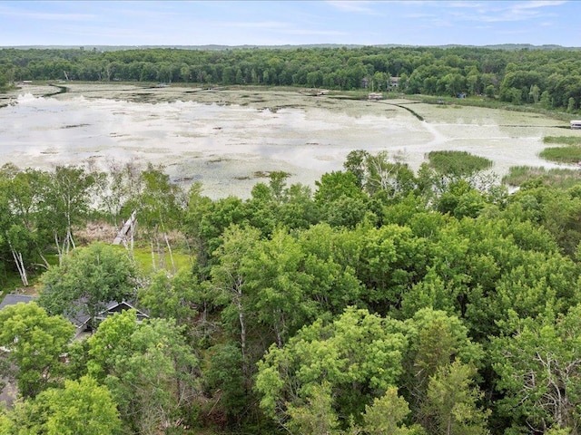 TBD Cree Bay Cir, Pelican Twp, MN 56472