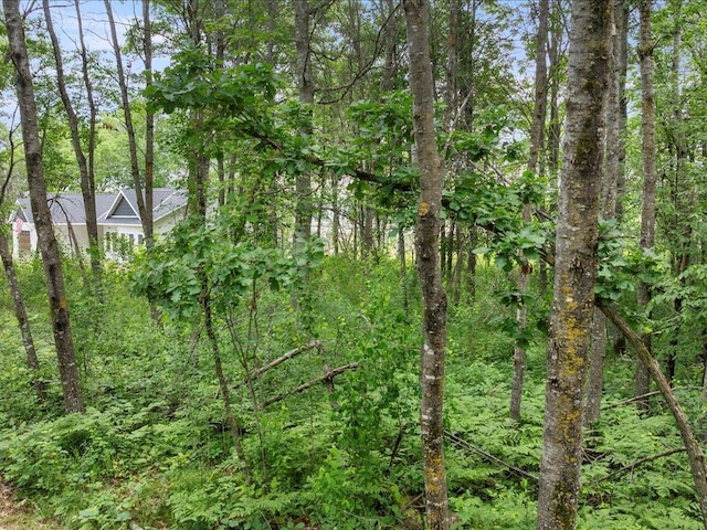 TBD Cree Bay Cir, Pelican Twp, MN 56472