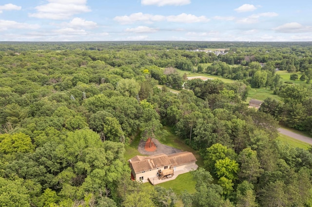 14744 Evergreen St NW, Andover, MN 55304 - aerial view of a forest
