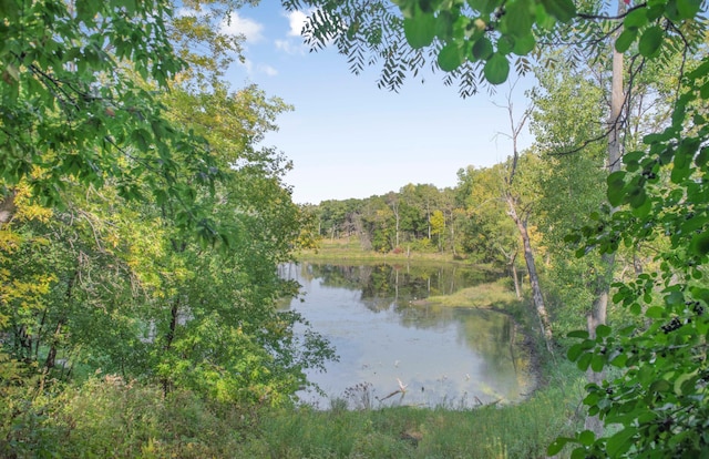 4111 Auburn Dr, Minnetonka, MN 55305 - water view featuring a heavily wooded area
