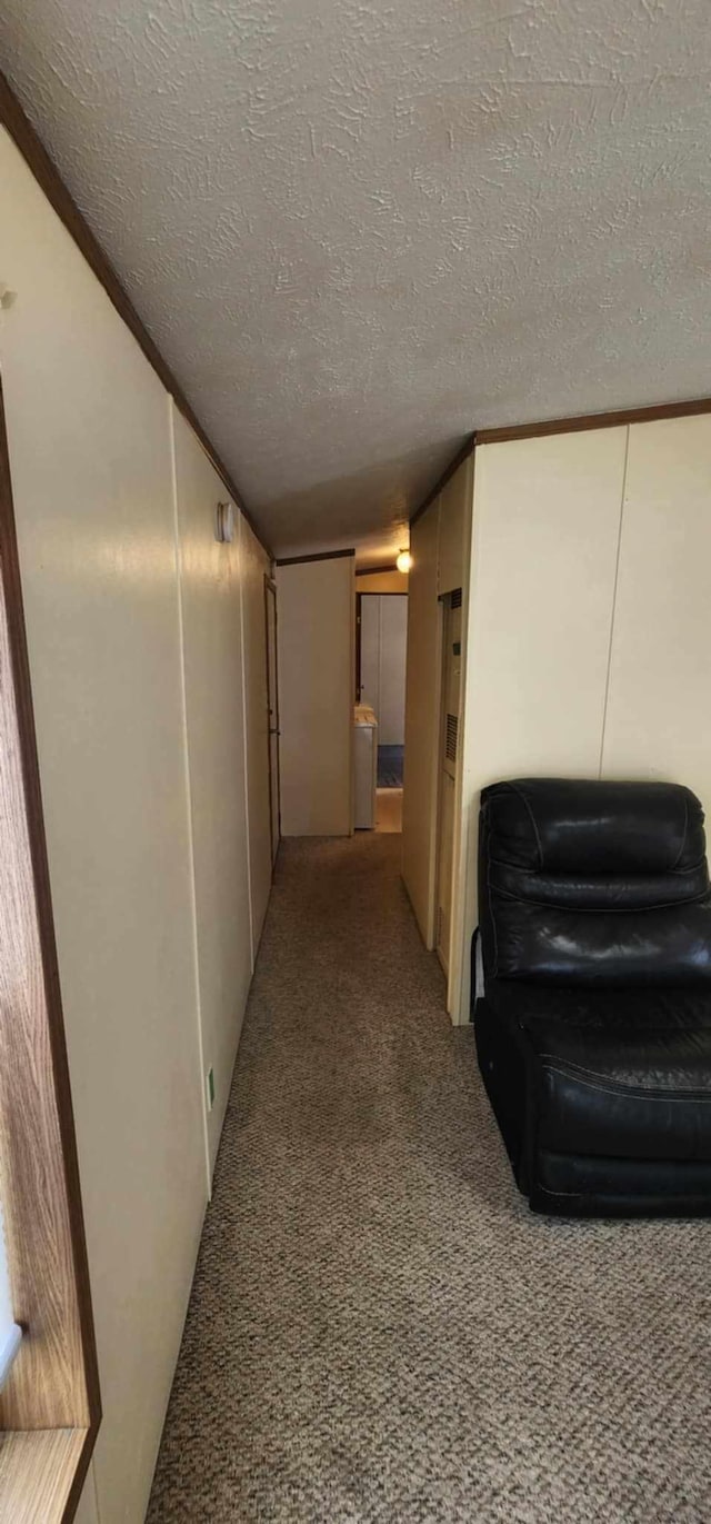 4550 Central Ave NE Unit 1011, Hilltop, MN 55421 - hall with carpet floors and a textured ceiling