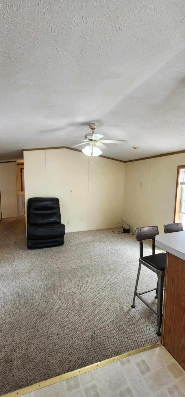 4550 Central Ave NE Unit 1011, Hilltop, MN 55421 - unfurnished living room with a ceiling fan, a textured ceiling, and light colored carpet