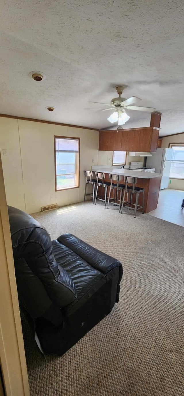 4550 Central Ave NE Unit 1011, Hilltop, MN 55421 - carpeted living room with a ceiling fan and a textured ceiling
