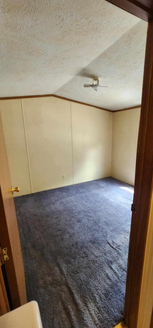 4550 Central Ave NE Unit 1011, Hilltop, MN 55421 - spare room featuring carpet flooring, lofted ceiling, and a textured ceiling