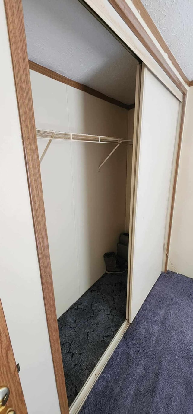 4550 Central Ave NE Unit 1011, Hilltop, MN 55421 - view of closet