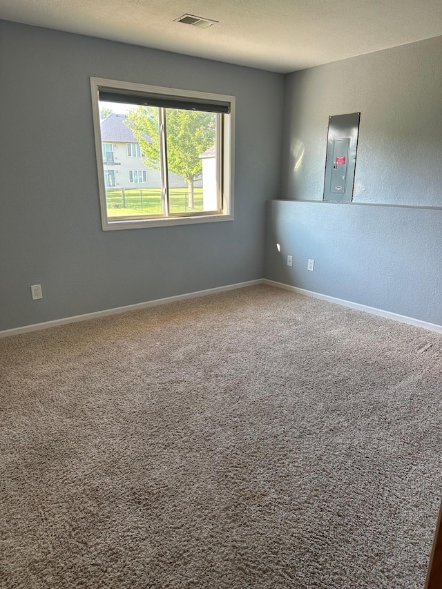 2460 Fox Hollow Ln, Owatonna, MN 55060 - carpeted spare room featuring electric panel and a textured wall
