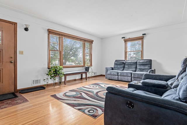 3836 Buchanan St NE, Columbia Heights, MN 55421 - living area featuring plenty of natural light and wood finished floors