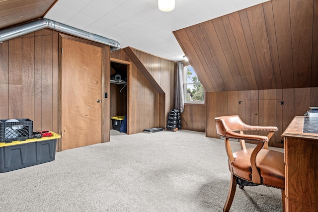 3836 Buchanan St NE, Columbia Heights, MN 55421 - bonus room with wood walls, carpet flooring, and lofted ceiling