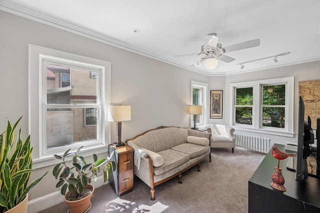 129 50th St, Minneapolis, MN 55419 - carpeted living area with radiator heating unit, track lighting, a ceiling fan, and crown molding