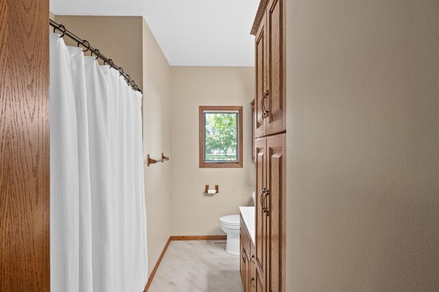 7023 State Highway 114 SW, Lake Mary Twp, MN 56308 - bathroom featuring vanity, wood finished floors, and a shower with curtain