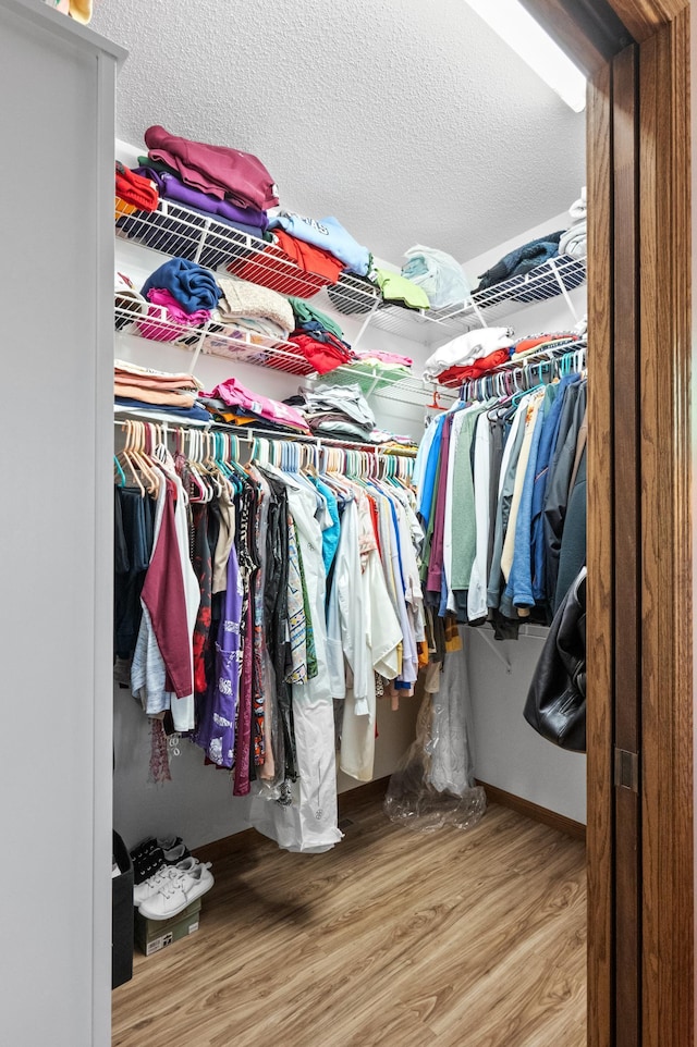 7023 State Highway 114 SW, Lake Mary Twp, MN 56308 - spacious closet with wood finished floors