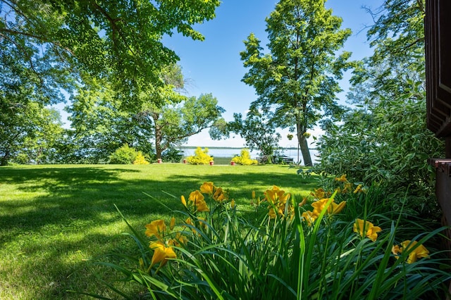 7023 State Highway 114 SW, Lake Mary Twp, MN 56308 - view of green lawn with a water view