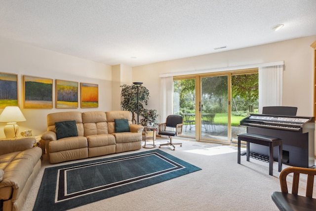 3862 Kindred Way, Lake Elmo, MN 55042 - living room featuring carpet and a textured ceiling