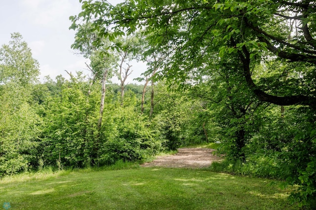17207 Saylers Beach Rd, Lake Park Twp, MN 56554 - photo 7