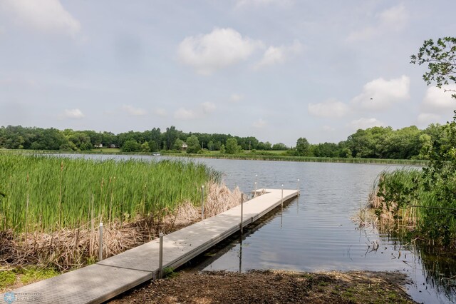 17207 Saylers Beach Rd, Lake Park Twp, MN 56554 - photo 8