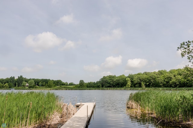 17207 Saylers Beach Rd, Lake Park Twp, MN 56554 - photo 44