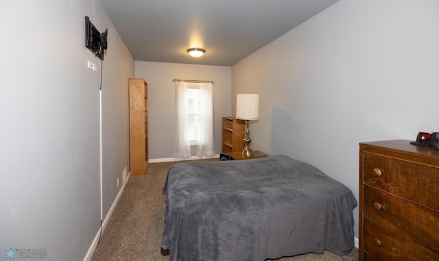 1341 3rd Ave N, Fargo, ND 58102 - bedroom with carpet and baseboards