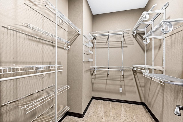 5110 Foxborrow Dr, Hermantown, MN 55811 - view of spacious closet