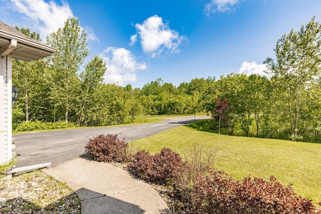 5110 Foxborrow Dr, Hermantown, MN 55811 - view of grassy yard featuring a forest view