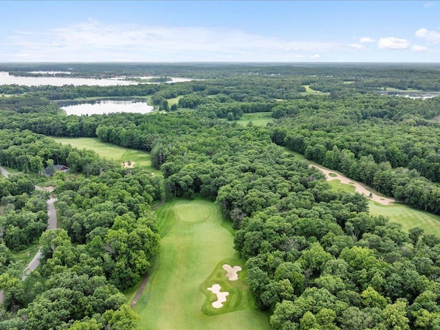 TBD Dog Leg, Pelican Twp, MN 56472