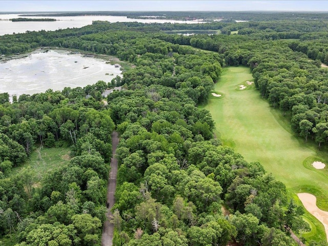 TBD Dog Leg, Pelican Twp, MN 56472