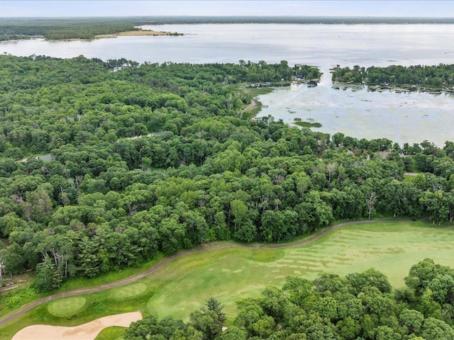 TBD Dog Leg, Pelican Twp, MN 56472