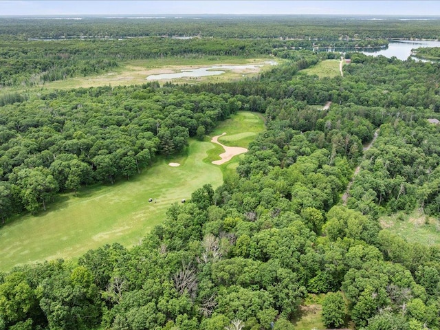 TBD Dog Leg, Pelican Twp, MN 56472