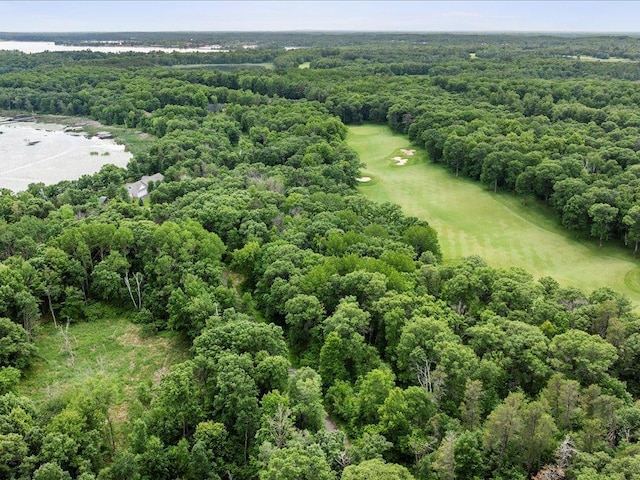 TBD Dog Leg, Pelican Twp, MN 56472