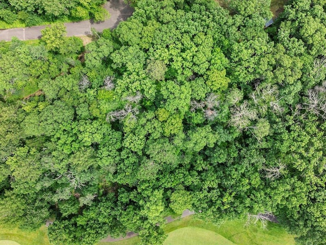 TBD Dog Leg, Pelican Twp, MN 56472